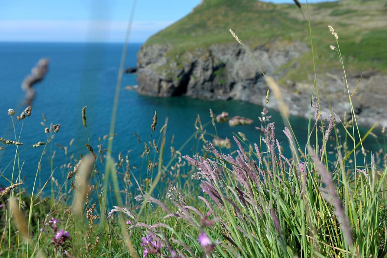 Tranquil Cornish Retreat Close To Port Isaac Beaches And Moor Bodmin Exterior photo